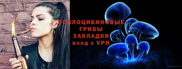 СК Алексин