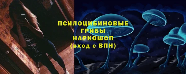круглые Алексеевка