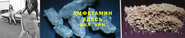 СК Алексин
