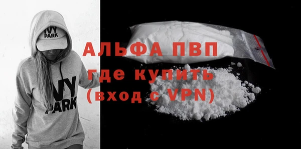 СК Алексин