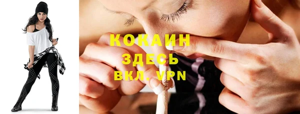 тгк Алзамай