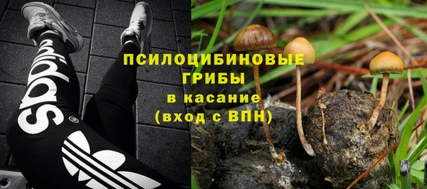 тгк Алзамай