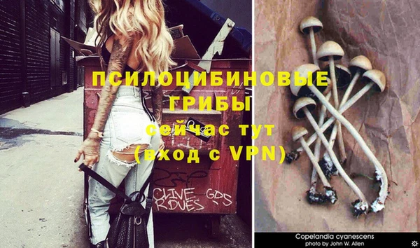 тгк Алзамай