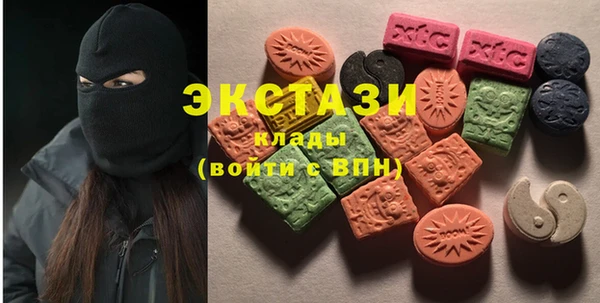 СК Алексин