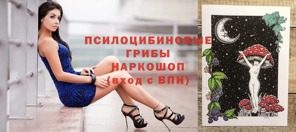 ПСИЛОЦИБИНОВЫЕ ГРИБЫ Горно-Алтайск