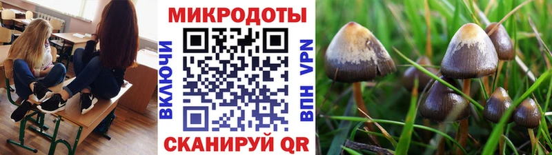 Галлюциногенные грибы ЛСД  Павловская 